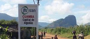 “Chupa-sangue” Detidos Oito Boateitos em Cuamba